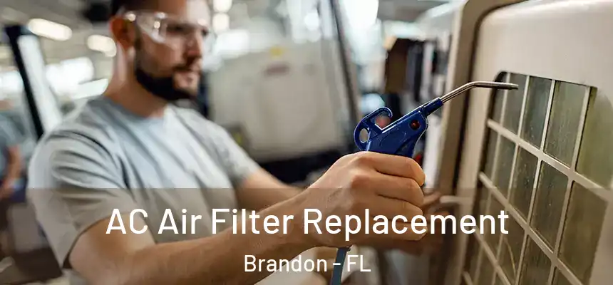  AC Air Filter Replacement Brandon - FL