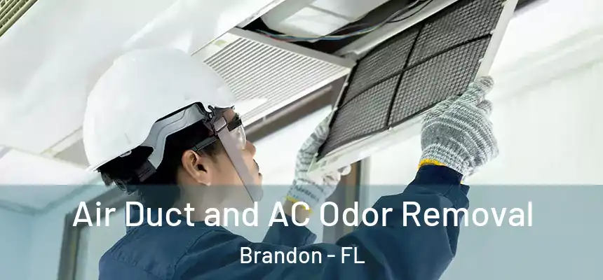 Air Duct and AC Odor Removal Brandon - FL