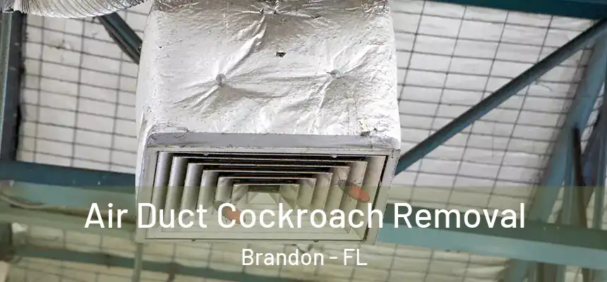  Air Duct Cockroach Removal Brandon - FL