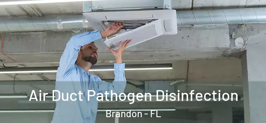 Air Duct Pathogen Disinfection Brandon - FL
