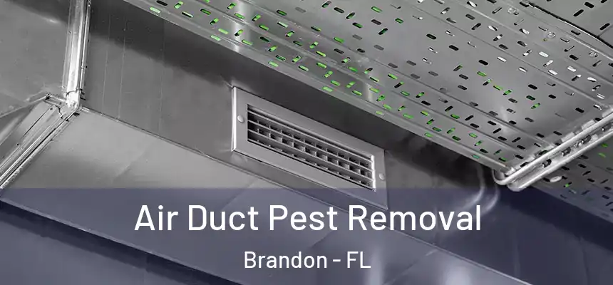  Air Duct Pest Removal Brandon - FL