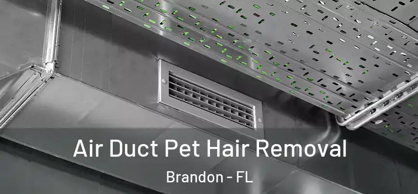  Air Duct Pet Hair Removal Brandon - FL