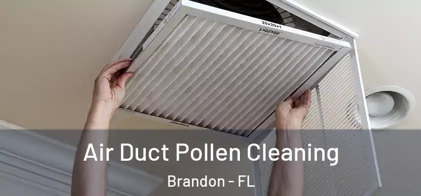  Air Duct Pollen Cleaning Brandon - FL