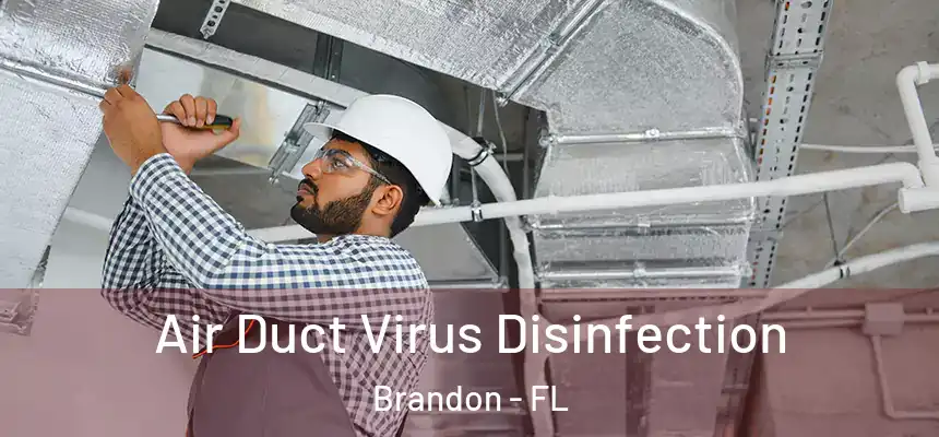  Air Duct Virus Disinfection Brandon - FL
