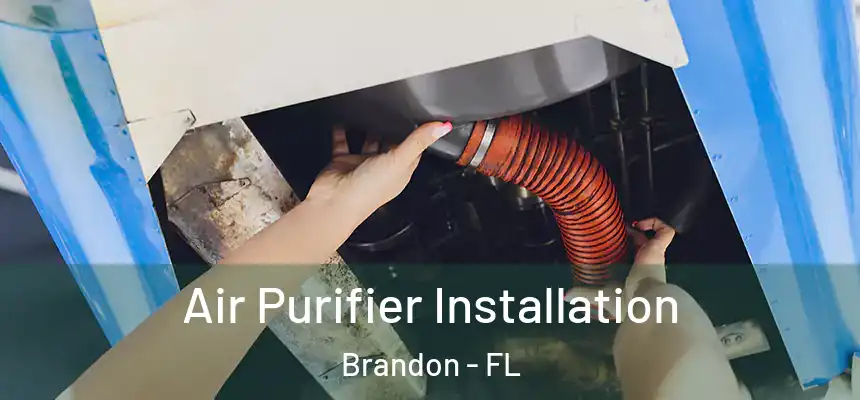 Air Purifier Installation Brandon - FL