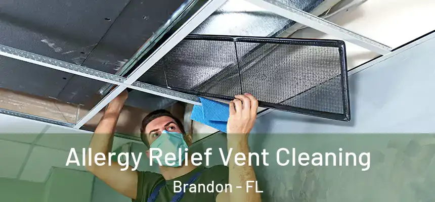 Allergy Relief Vent Cleaning Brandon - FL