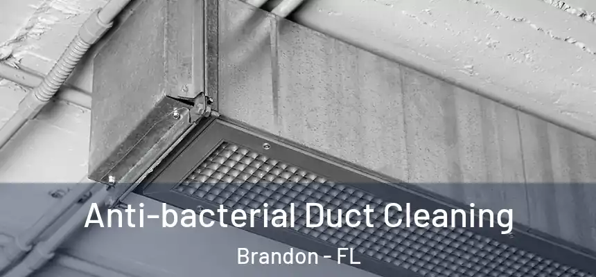  Anti-bacterial Duct Cleaning Brandon - FL