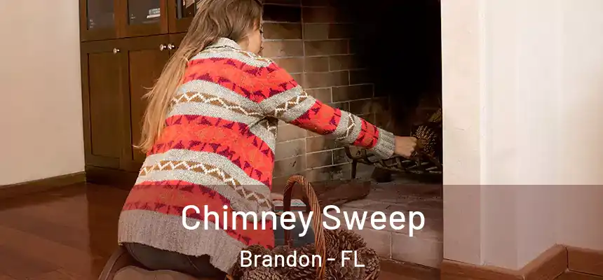 Chimney Sweep Brandon - FL