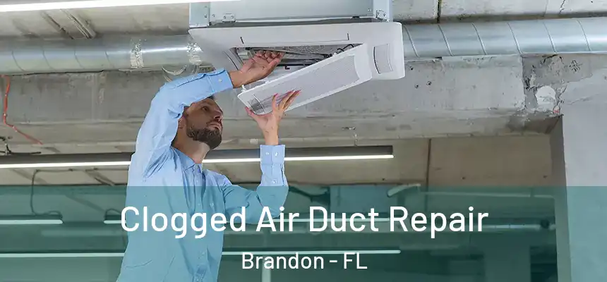  Clogged Air Duct Repair Brandon - FL