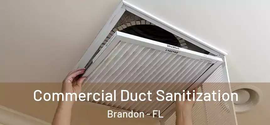 Commercial Duct Sanitization Brandon - FL