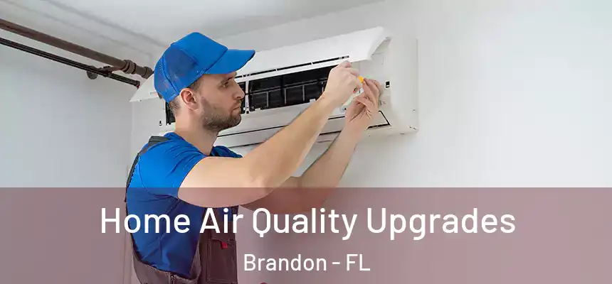 Home Air Quality Upgrades Brandon - FL
