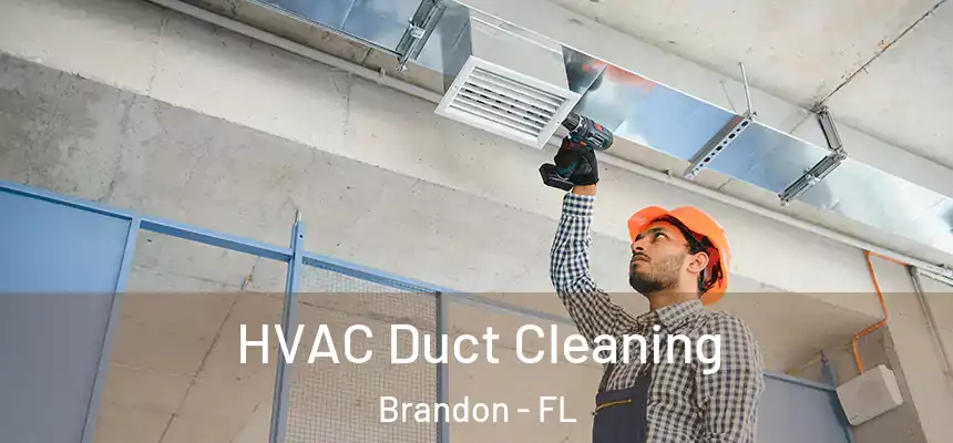  HVAC Duct Cleaning Brandon - FL