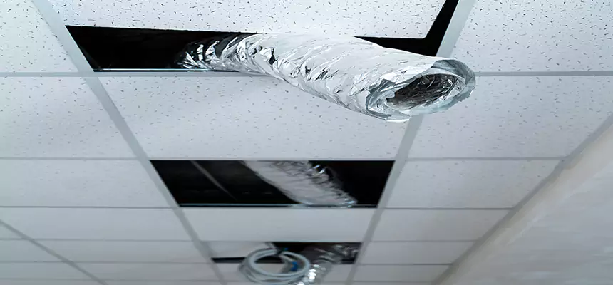 Our Air Duct Pet Hair Removal Services in Brandon, FL