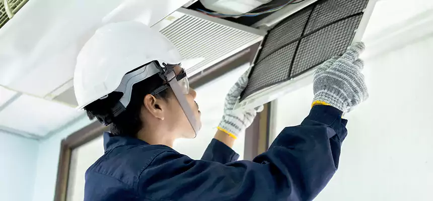 Our Mold & Mildew Removal from Air Ducts Services in Brandon, FL