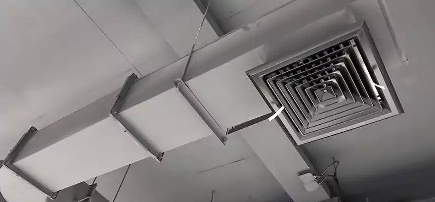 Our Pest Removal From Ducts Services in Brandon, FL