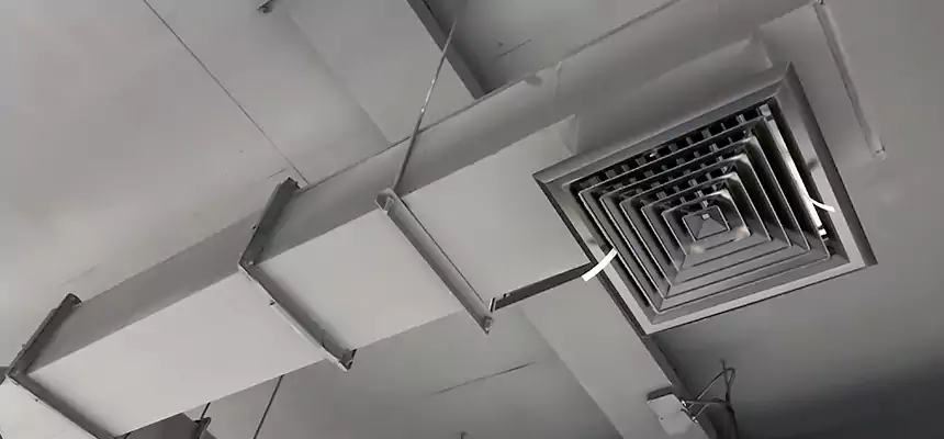 Our Rodent Droppings In Vents Services in Brandon, FL