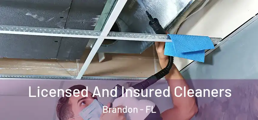 Licensed And Insured Cleaners Brandon - FL