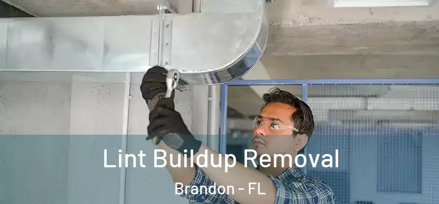  Lint Buildup Removal Brandon - FL