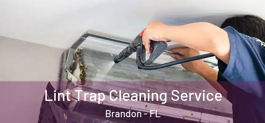  Lint Trap Cleaning Service Brandon - FL