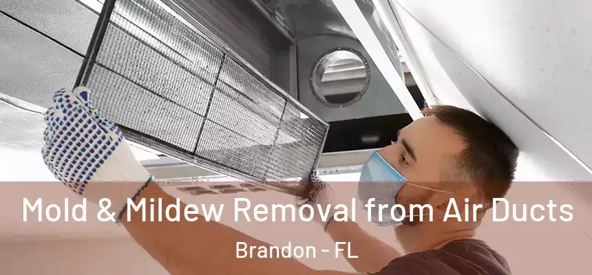 Mold & Mildew Removal from Air Ducts Brandon - FL