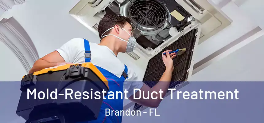  Mold-Resistant Duct Treatment Brandon - FL