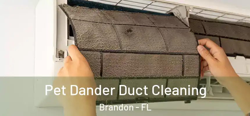 Pet Dander Duct Cleaning Brandon - FL