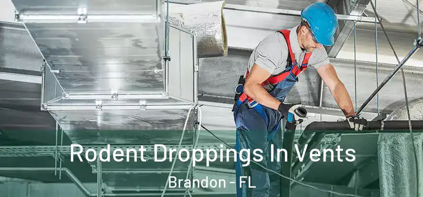 Rodent Droppings In Vents Brandon - FL