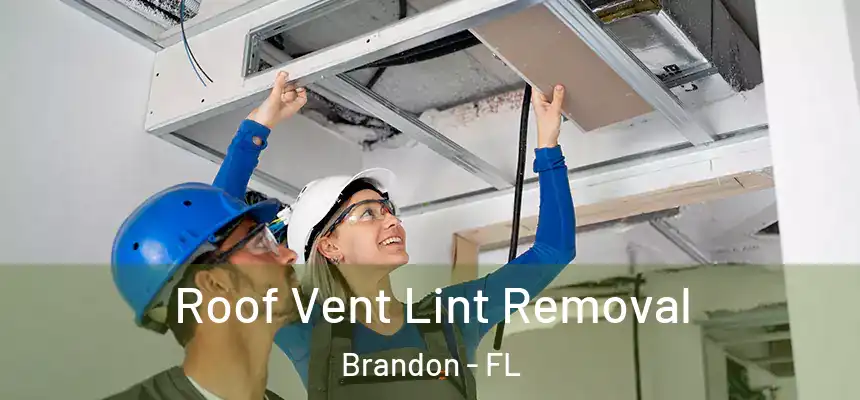  Roof Vent Lint Removal Brandon - FL