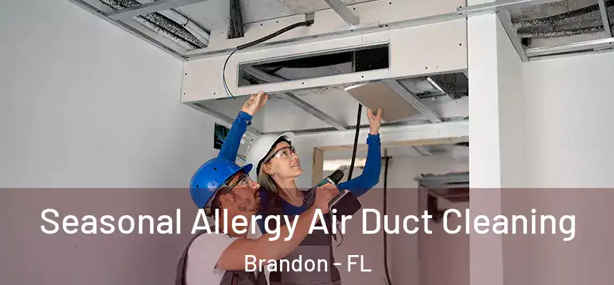  Seasonal Allergy Air Duct Cleaning Brandon - FL