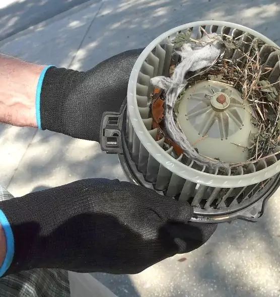 About Air Duct Mice Removal in Brandon, FL