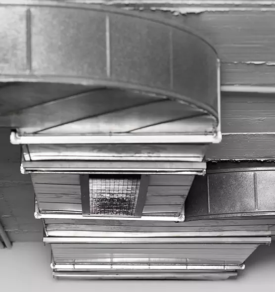 Professional Air Duct Pest Removal in Brandon, FL