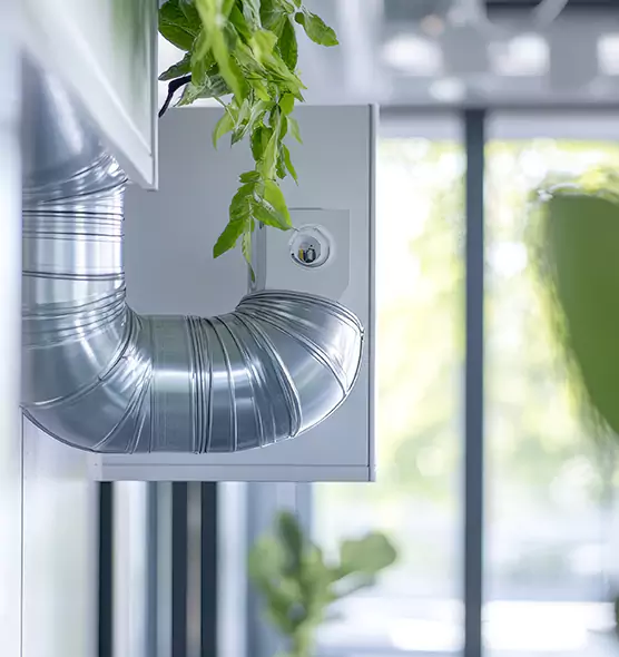 Professional Eco-Safe Dryer Vent Cleaning in Brandon, FL