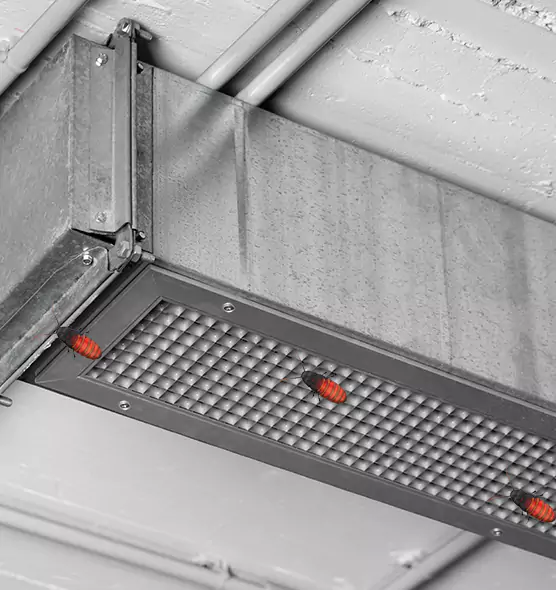 Affordable Insect Removal from Air Ducts in Brandon, FL