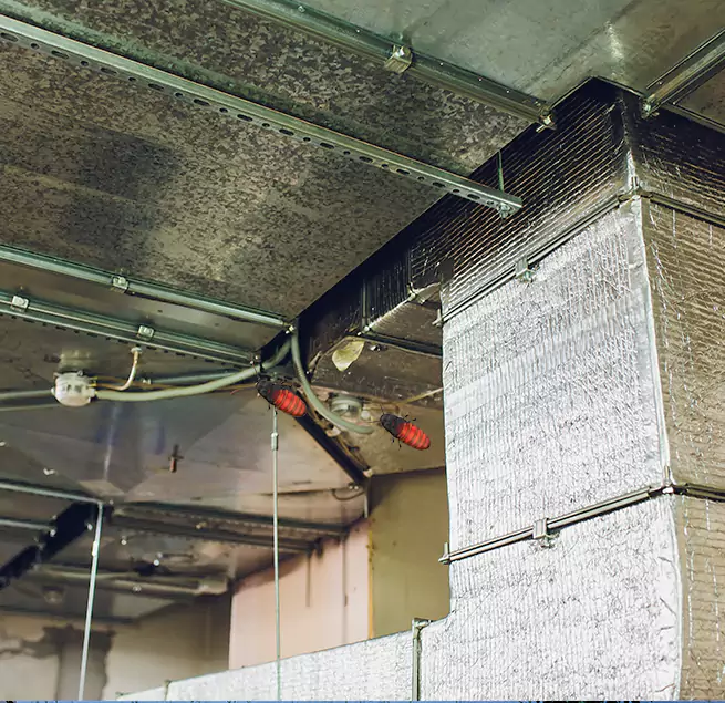 Why Homeowners & Businesses Trust Us in Brandon, FL?