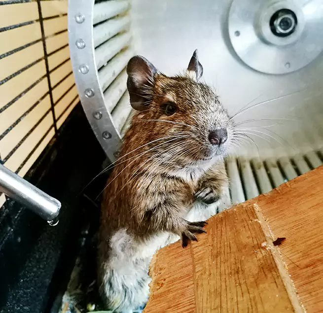 Why Homeowners & Businesses Trust Us Brandon, FL?