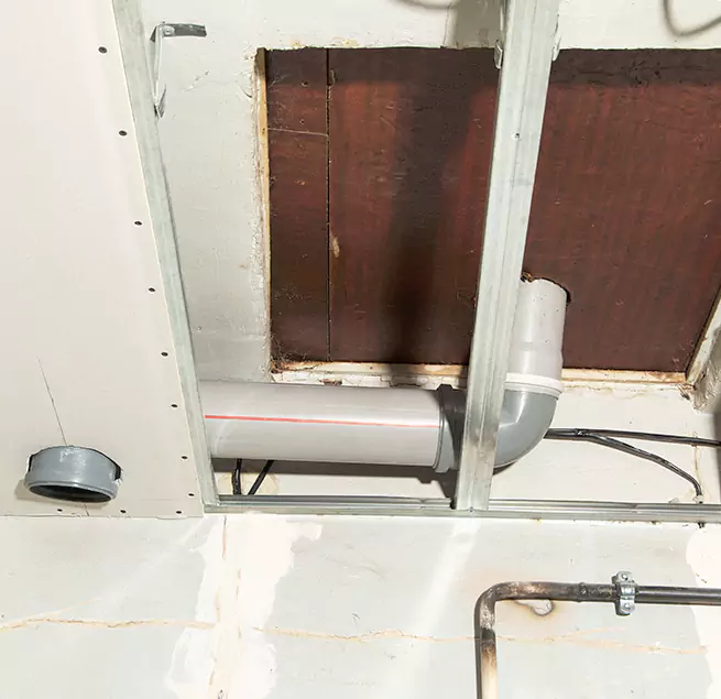 Why Homeowners & Businesses Trust Us in Brandon, FL?