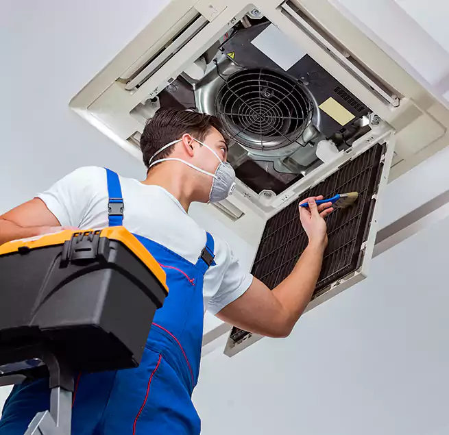 Why Homeowners & Businesses Trust Us in Brandon, FL