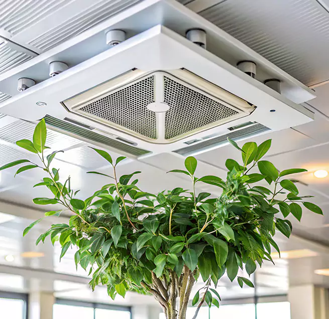 Why Homeowners & Businesses Trust Us in Brandon, FL