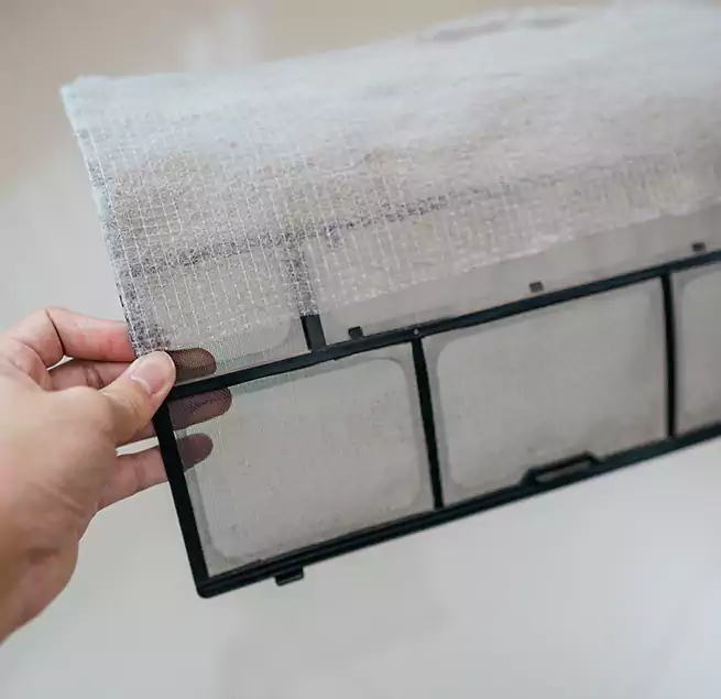 Why Homeowners & Businesses Trust Us in Brandon, FL?