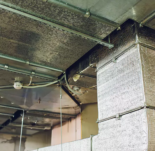 Why Homeowners & Businesses Trust Us in Brandon, FL?