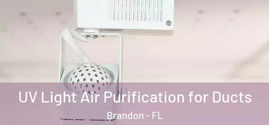 UV Light Air Purification for Ducts Brandon - FL
