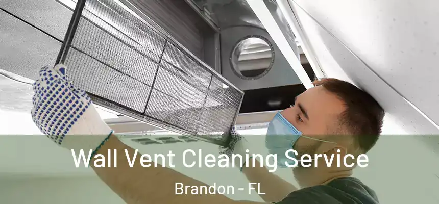 Wall Vent Cleaning Service Brandon - FL