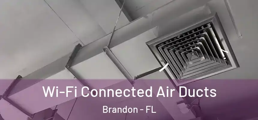 Wi-Fi Connected Air Ducts Brandon - FL